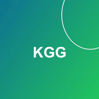Kadıköy Gençlik Gönüllüleri